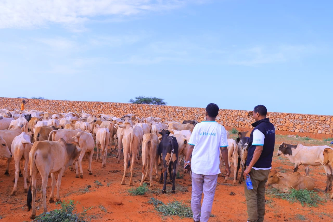 Qurban images Image 23